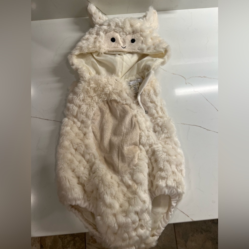 Pottery Barn Kids Sheep Costume